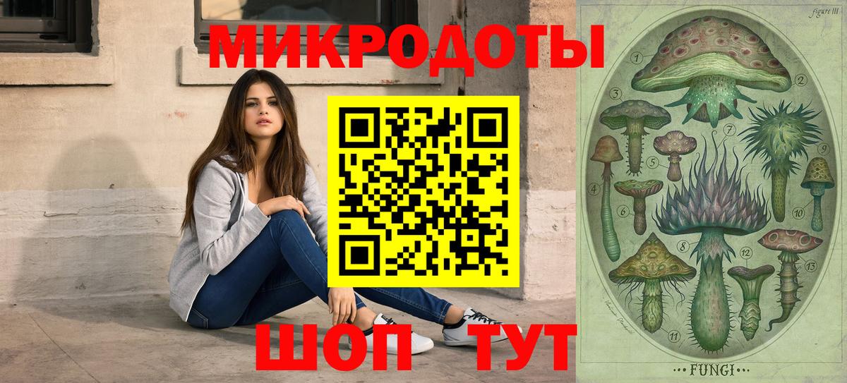 Новотроицк  Галлюциногенные грибы Psilocybine cubensis  Вход с VPN 
