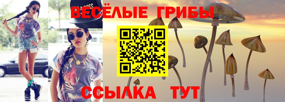 Псилоцибиновые грибы Cubensis Новотроицк